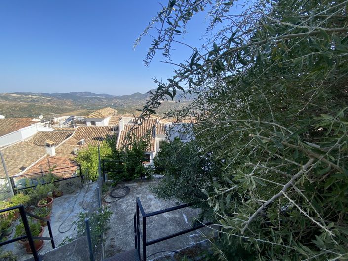 Image No.16-5 Bed Duplex for sale