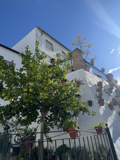 Image No.3-3 Bed Property for sale