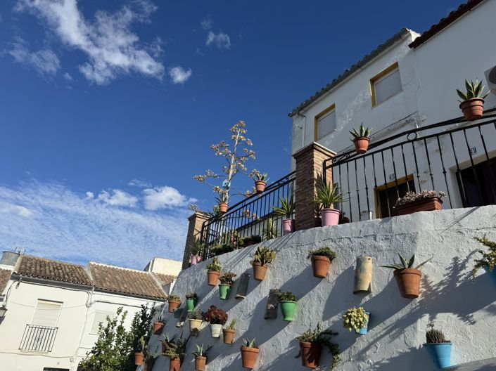 Image No.4-3 Bed Property for sale