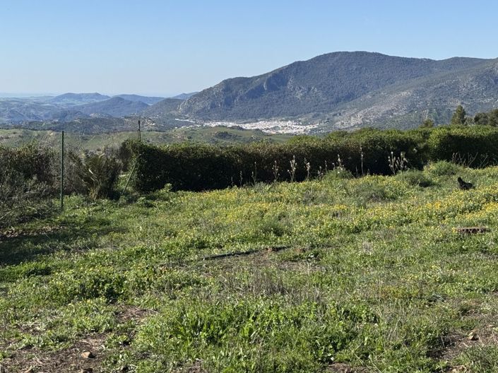 Image No.55-6 Bed Property for sale