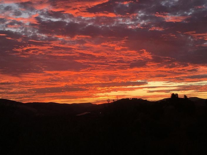 Image No.31-2 Bed Property for sale