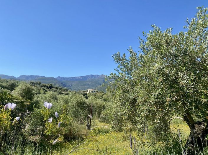 Image No.33-2 Bed Property for sale