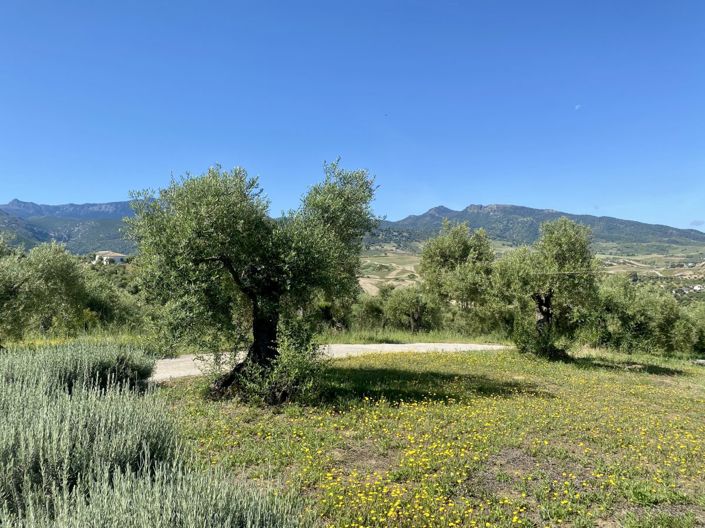 Image No.36-2 Bed Property for sale