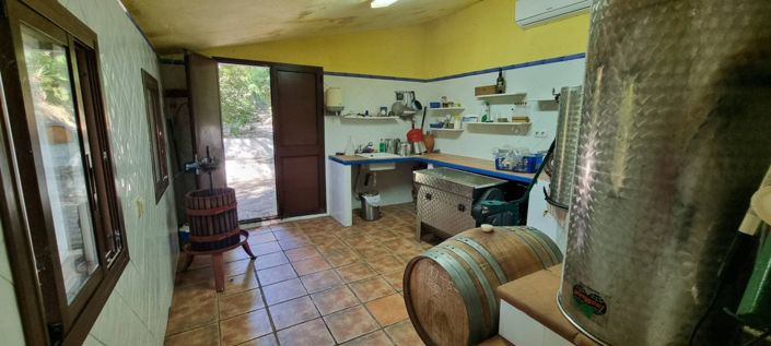 Image No.27-10 Bed Vineyard for sale