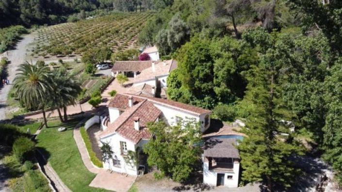 Image No.29-10 Bed Vineyard for sale