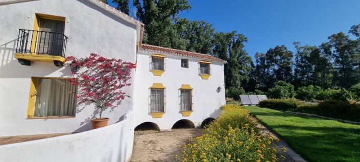 Image No.3-10 Bed Vineyard for sale