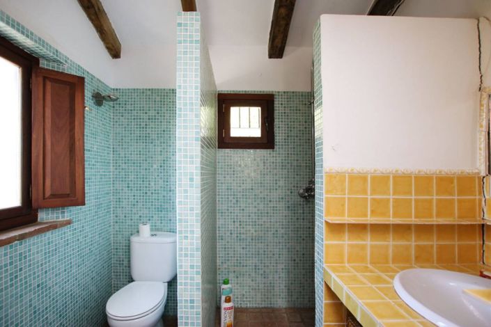 Image No.17-3 Bed Finca for sale