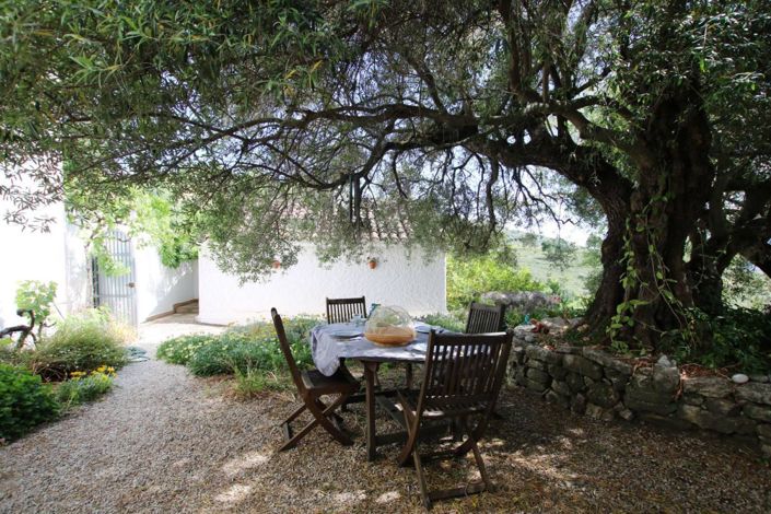 Image No.22-3 Bed Finca for sale