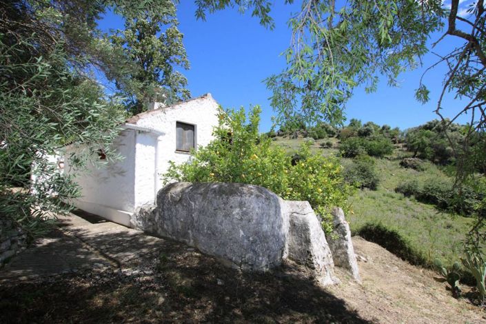 Image No.23-3 Bed Finca for sale