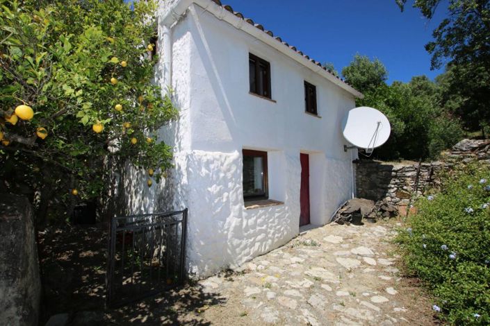 Image No.24-3 Bed Finca for sale