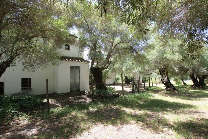 Image No.3-3 Bed Finca for sale