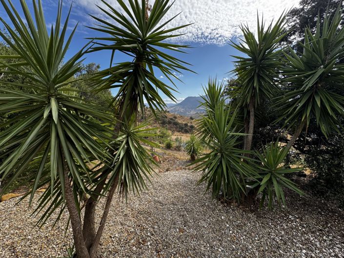 Image No.52-4 Bed Property for sale