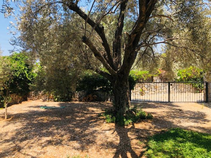 Image No.5-4 Bed Villa / Detached for sale