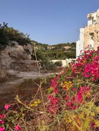 919136_20250722092723031154