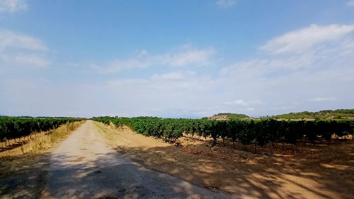 Image No.7-8 Bed House for sale