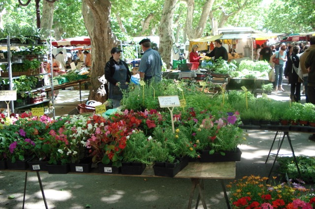 Image No.16-3 Bed House for sale