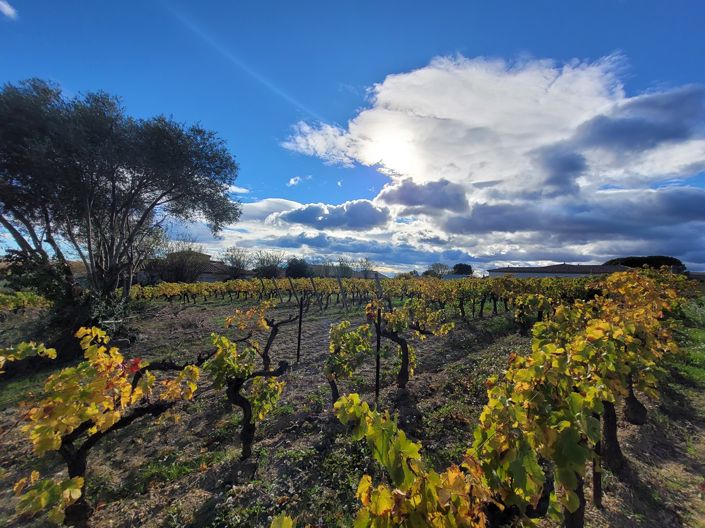 Image No.2-Property for sale