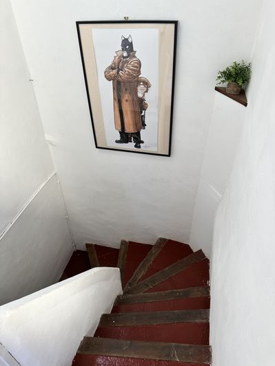 Image No.24-3 Bed House for sale