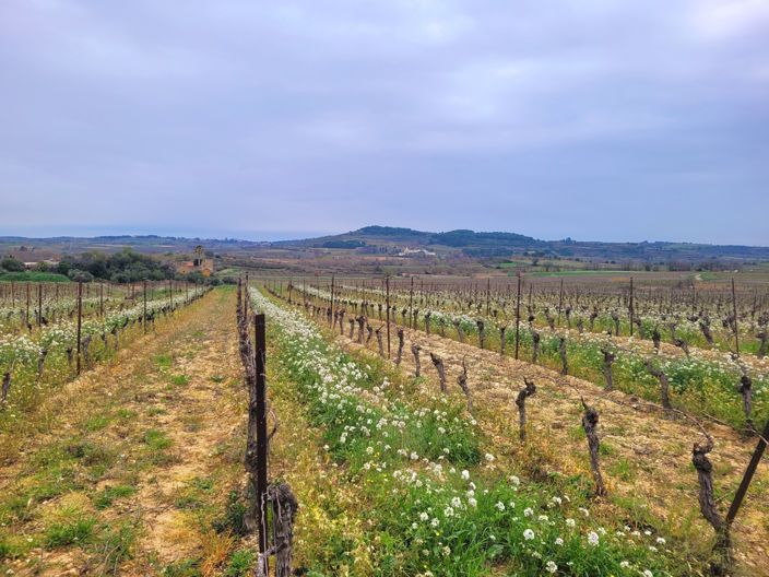 Image No.3-Property for sale