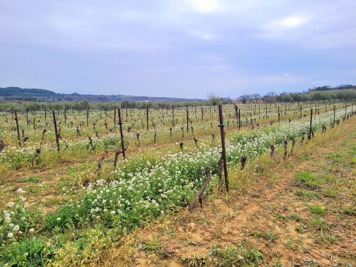 Image No.2-Property for sale