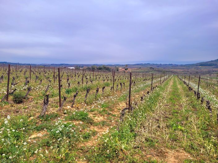 Image No.5-Property for sale