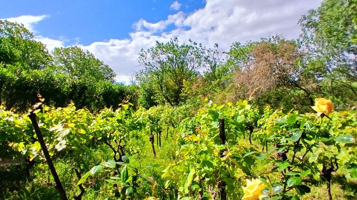 Image No.10-6 Bed Property for sale