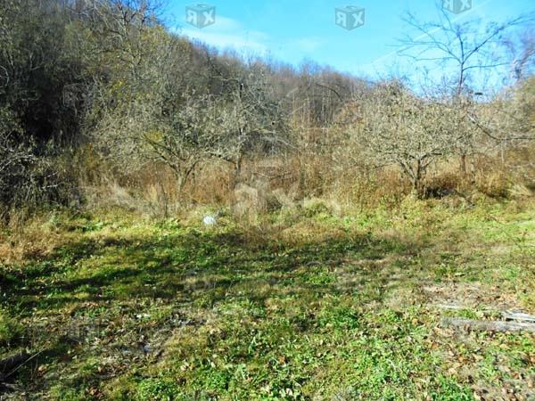 Image No.21-3 Bed House for sale