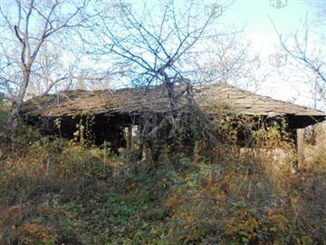 picture75928