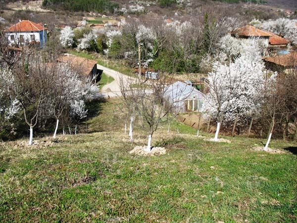 Image No.20-2 Bed Property for sale