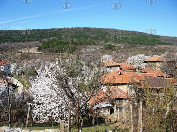 Image No.22-2 Bed Property for sale