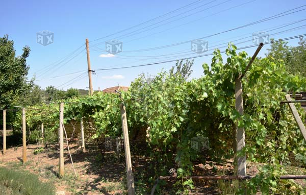 Image No.29-3 Bed House for sale