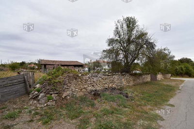 1 - Musina, Property