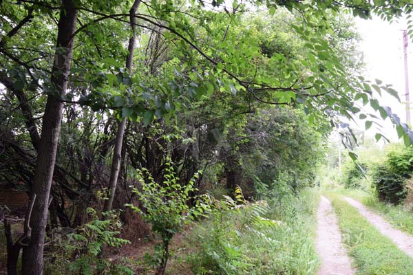 Image No.5-Property for sale