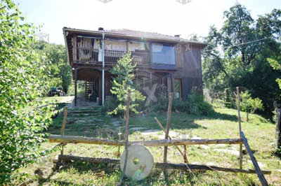 picture100260