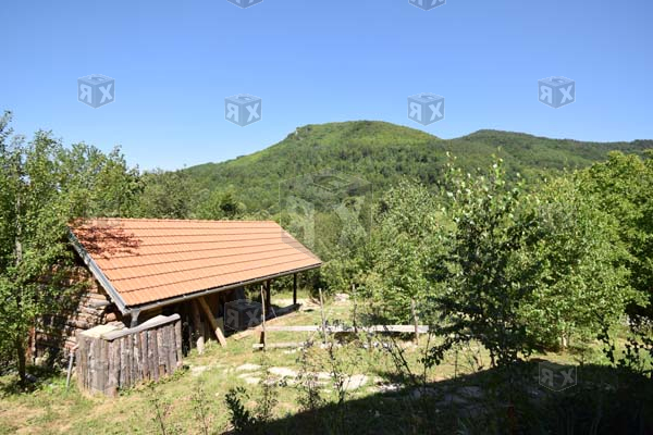 Image No.5-3 Bed House for sale