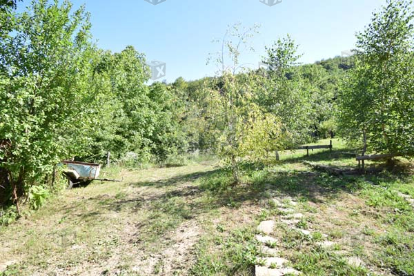 Image No.21-3 Bed House for sale