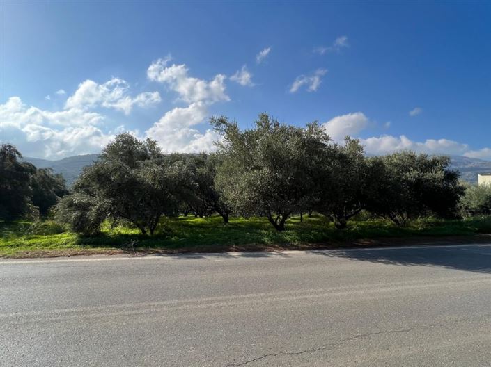 Image No.3-Plot for sale