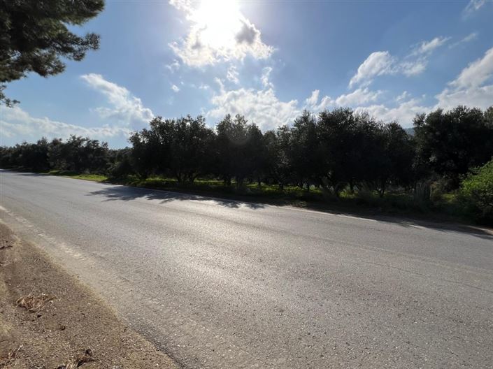 Image No.7-Plot for sale