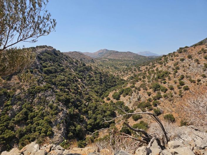 Image No.12-Plot for sale