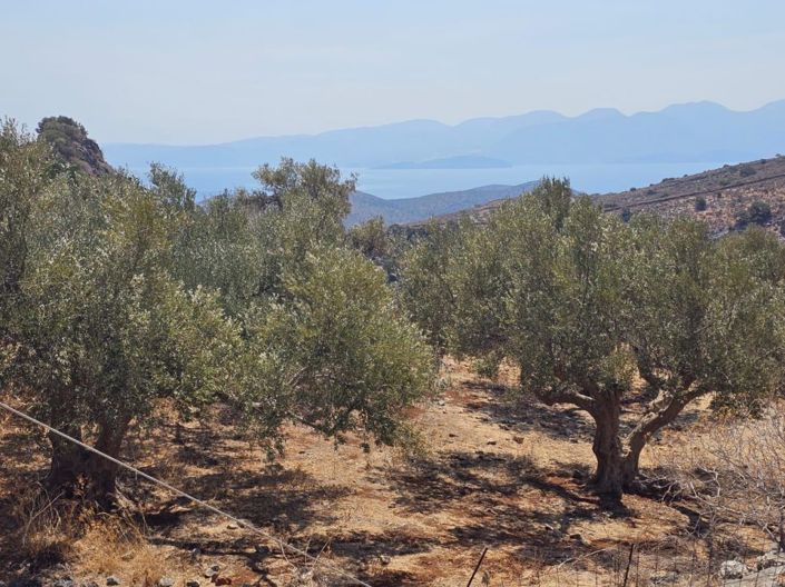 Image No.4-Plot for sale