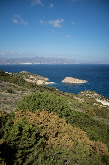 Image No.4-Plot for sale