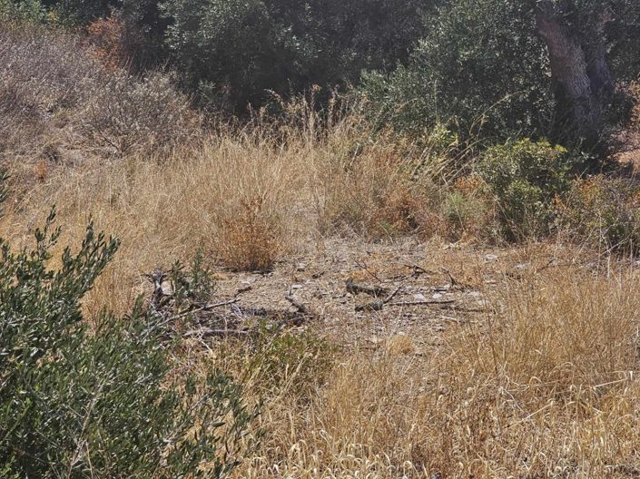 Image No.8-Plot for sale