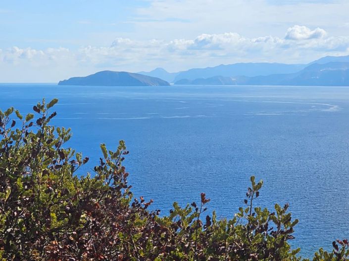 Image No.4-Land for sale