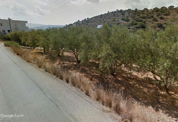 Image No.2-Plot for sale