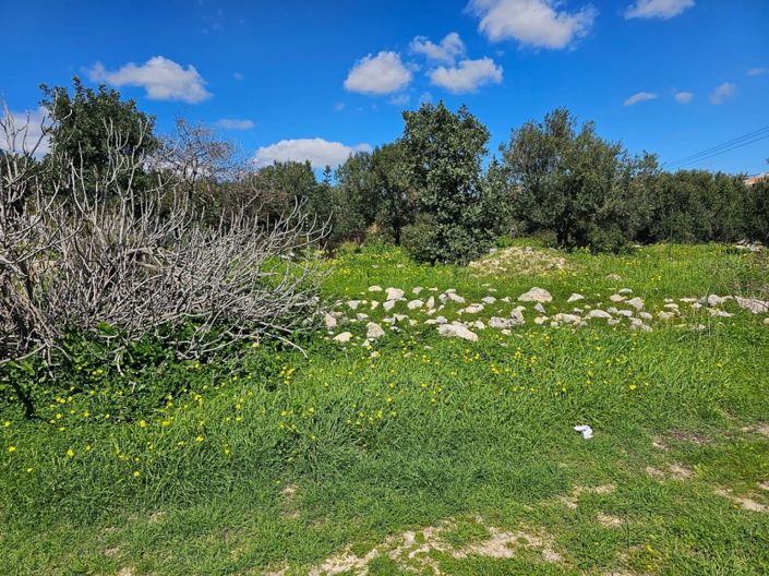 Image No.4-Land for sale