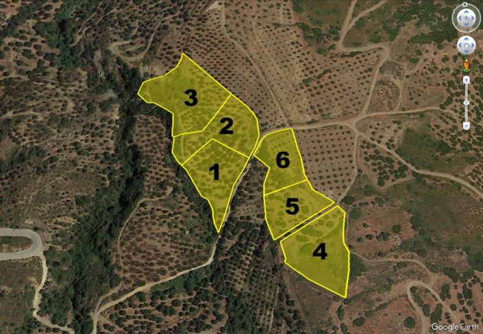 Image No.4-Plot for sale