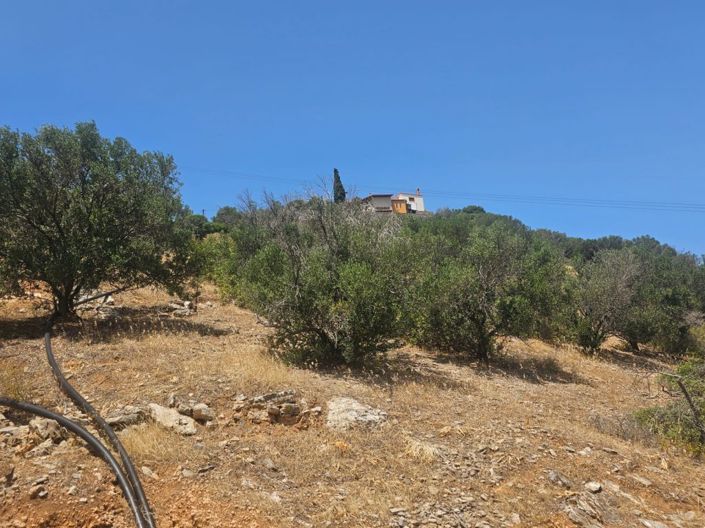 Image No.11-Land for sale