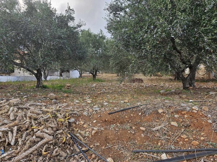 Image No.1-Plot for sale
