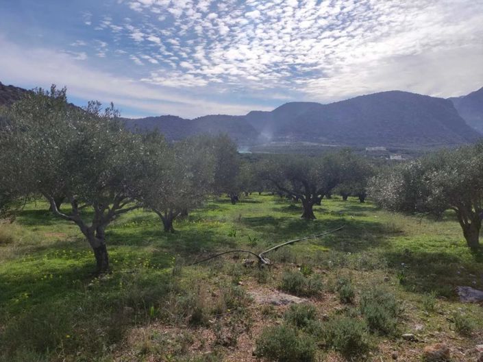 Image No.3-Plot for sale