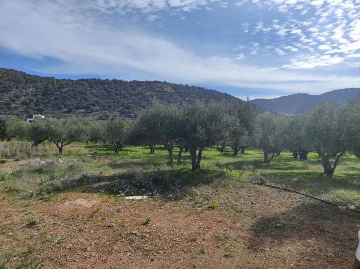 Image No.7-Plot for sale